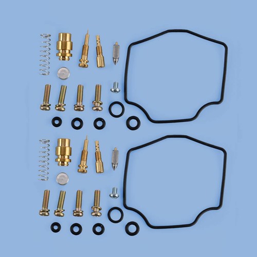 Vergaser reparatursatz - 2x,